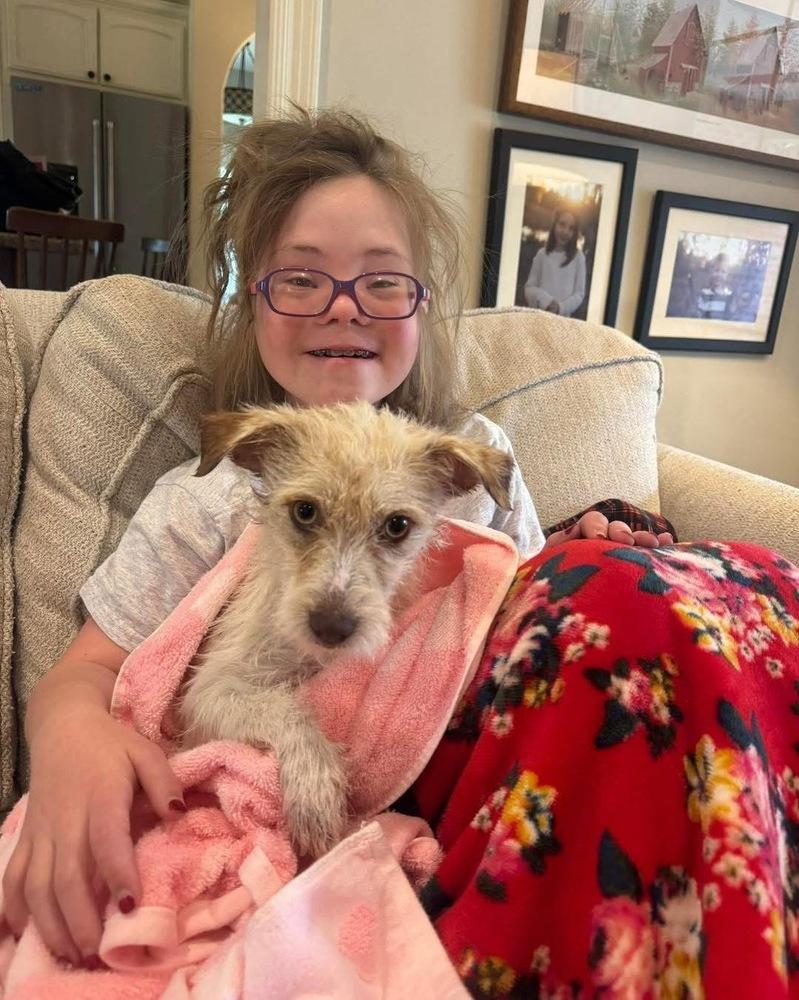 Enlarge Peaches, a Adopted mixed breed in Syracuse, NY image 3/6