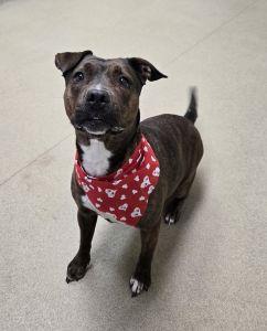 Princess thumbnail 3