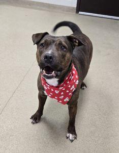 Princess thumbnail 5