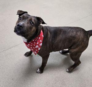 Princess thumbnail 6