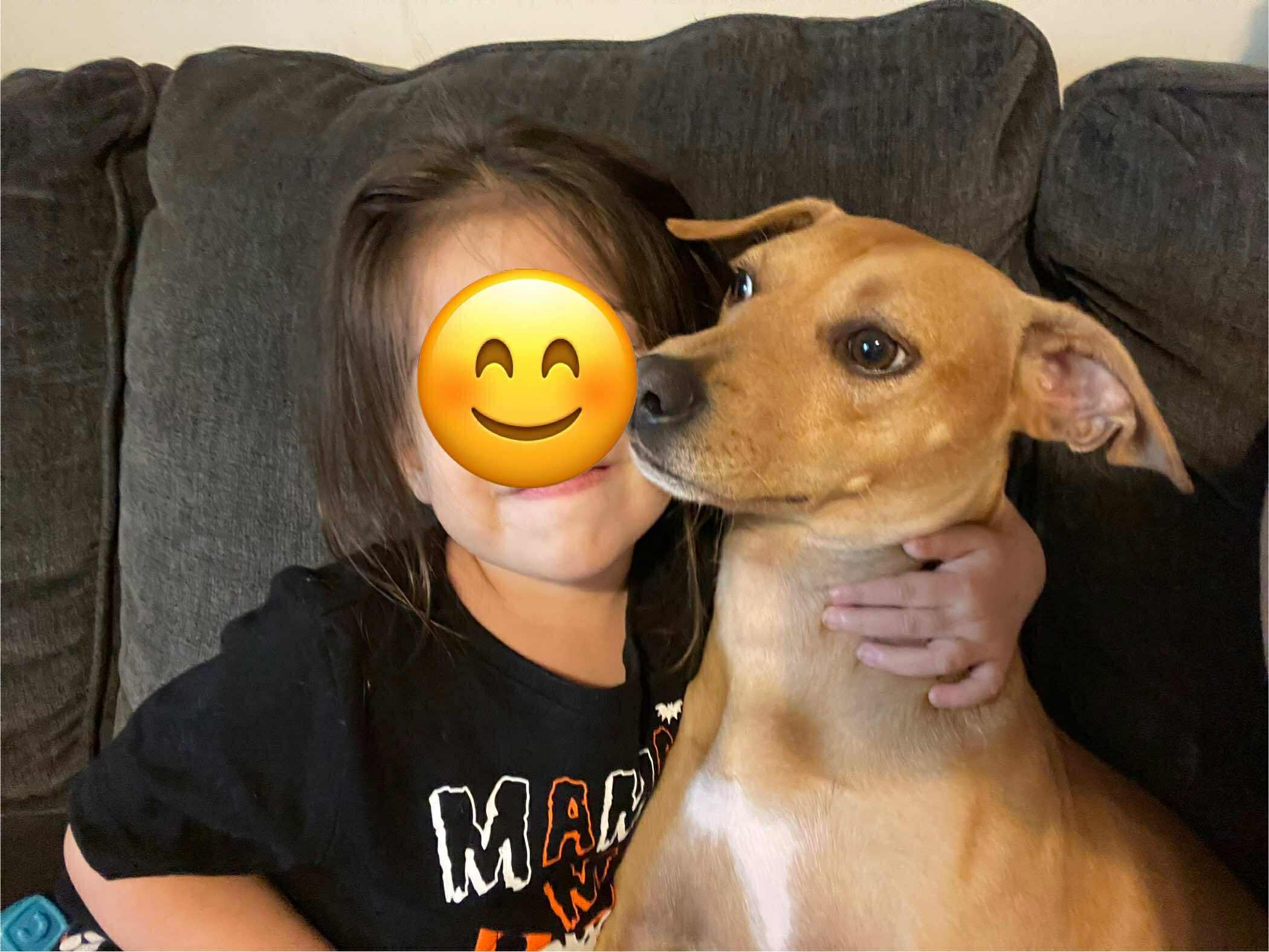 Fancy, Adoptable, Young Female Hound & Black Mouth Cur.