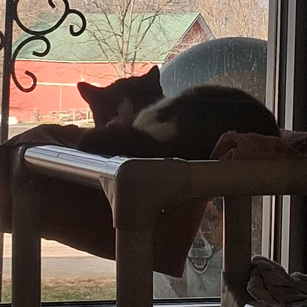 Merida — thumbnail 6