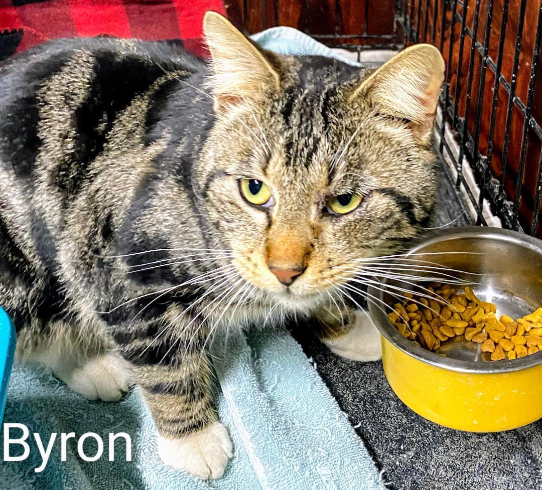 Byron photo 3