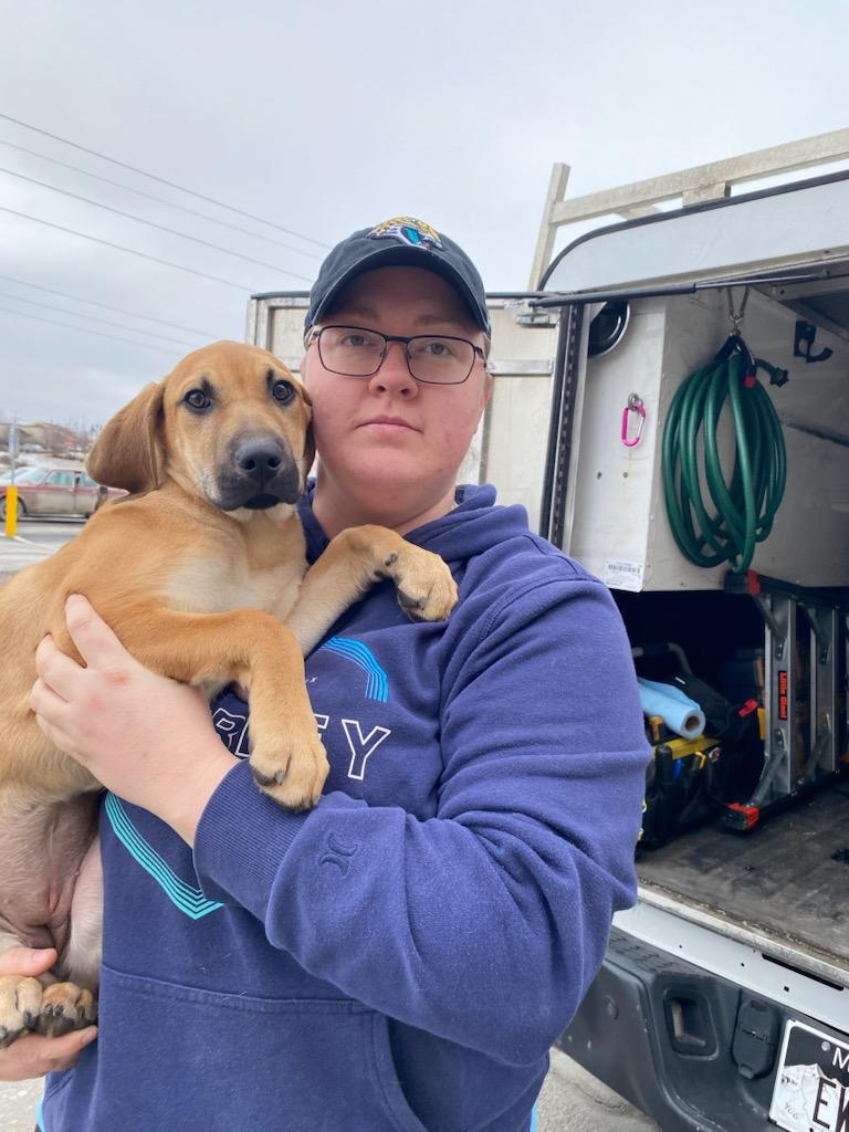 Enlarge Mouse, a Adoptable mixed breed in Polson, MT image 3/3