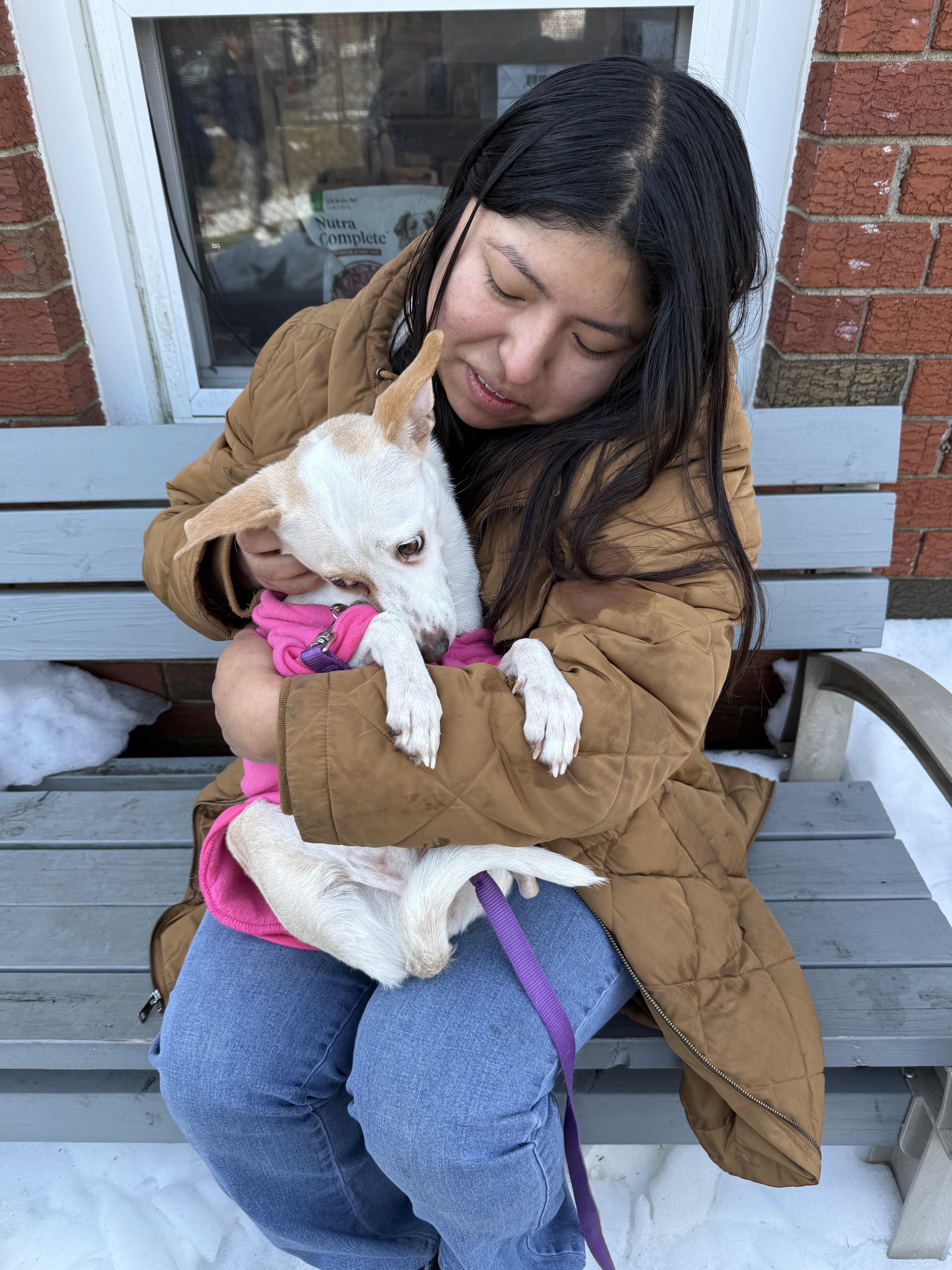 Linda, a ADOPTABLE mixed breed in Harrison, NY image 6/6