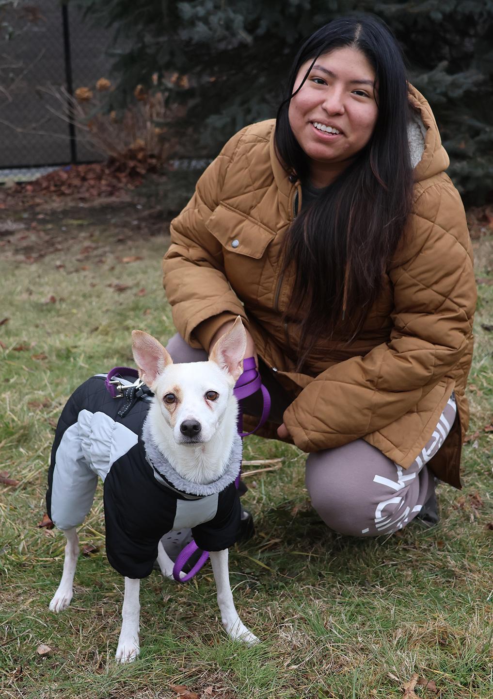Linda, a ADOPTABLE mixed breed in Harrison, NY image 4/6