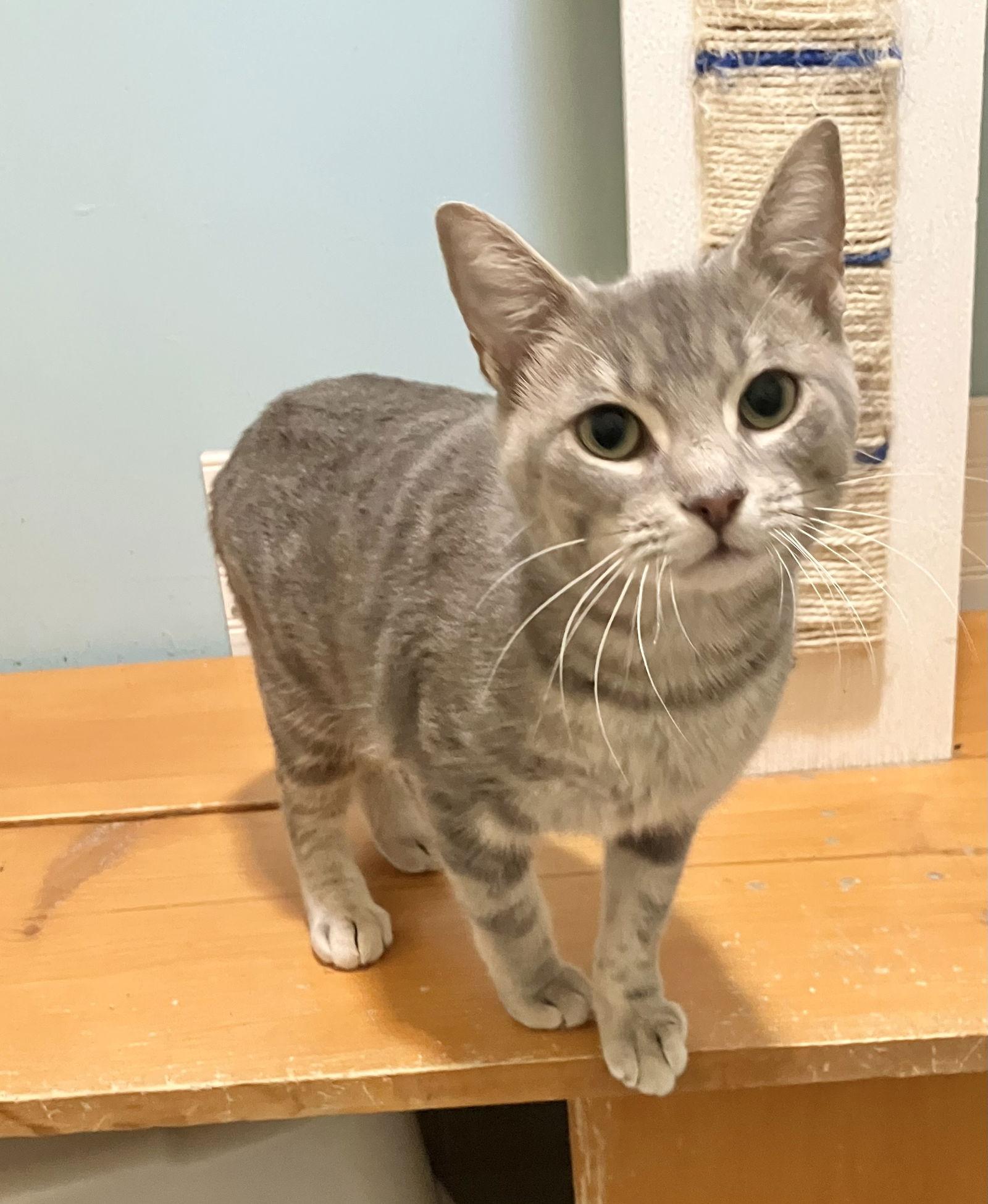 Scrumptious thumbnail 4