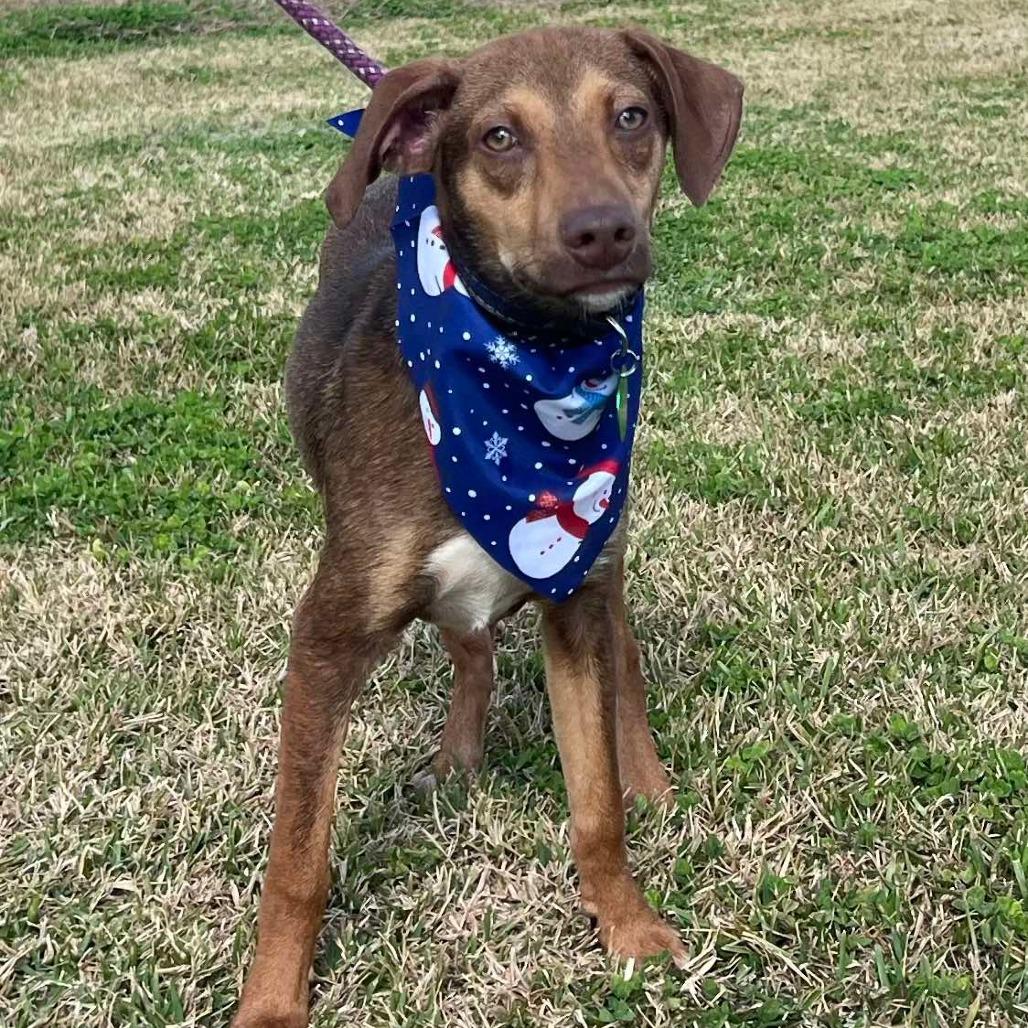 Link — thumbnail 2