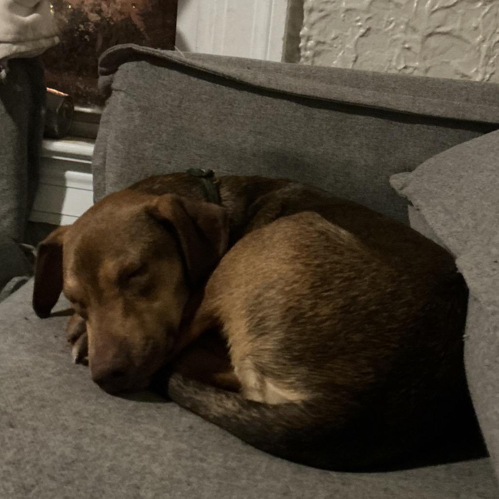 Link — thumbnail 3