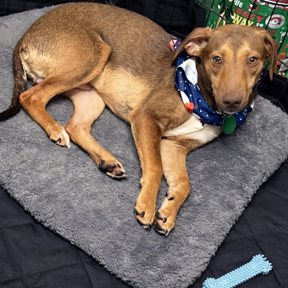 Link — thumbnail 4