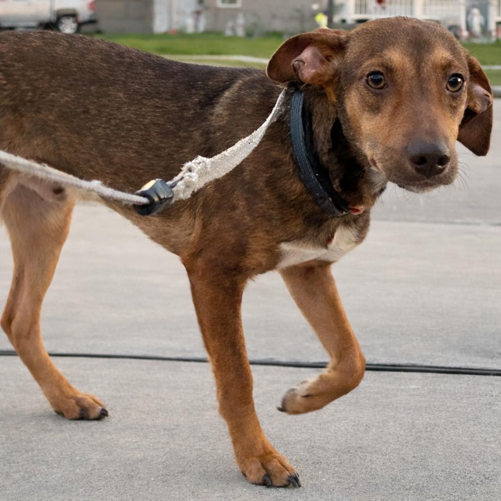 Link — thumbnail 5