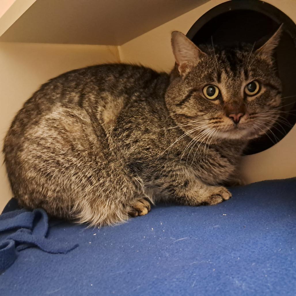 Billy — thumbnail 2