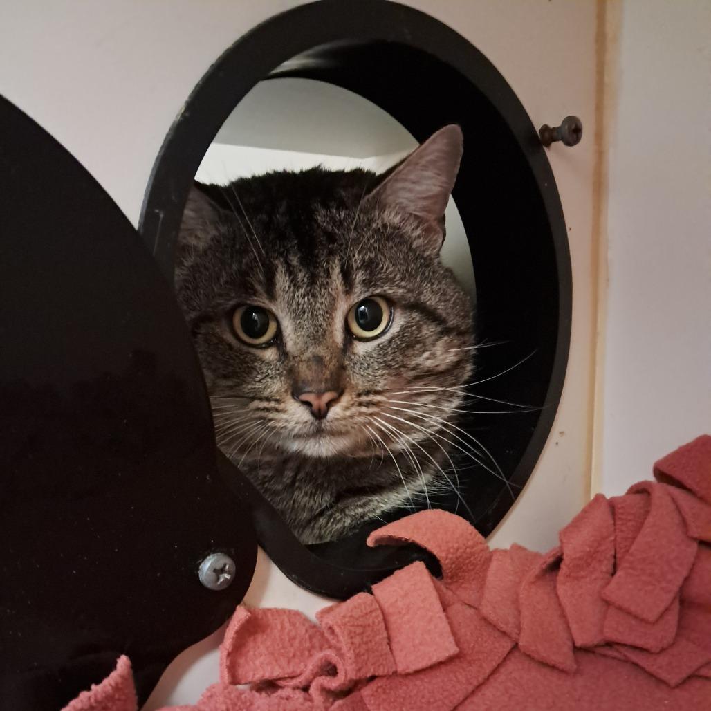 Billy — thumbnail 3