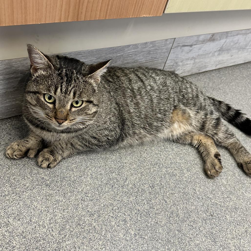 Billy — thumbnail 4