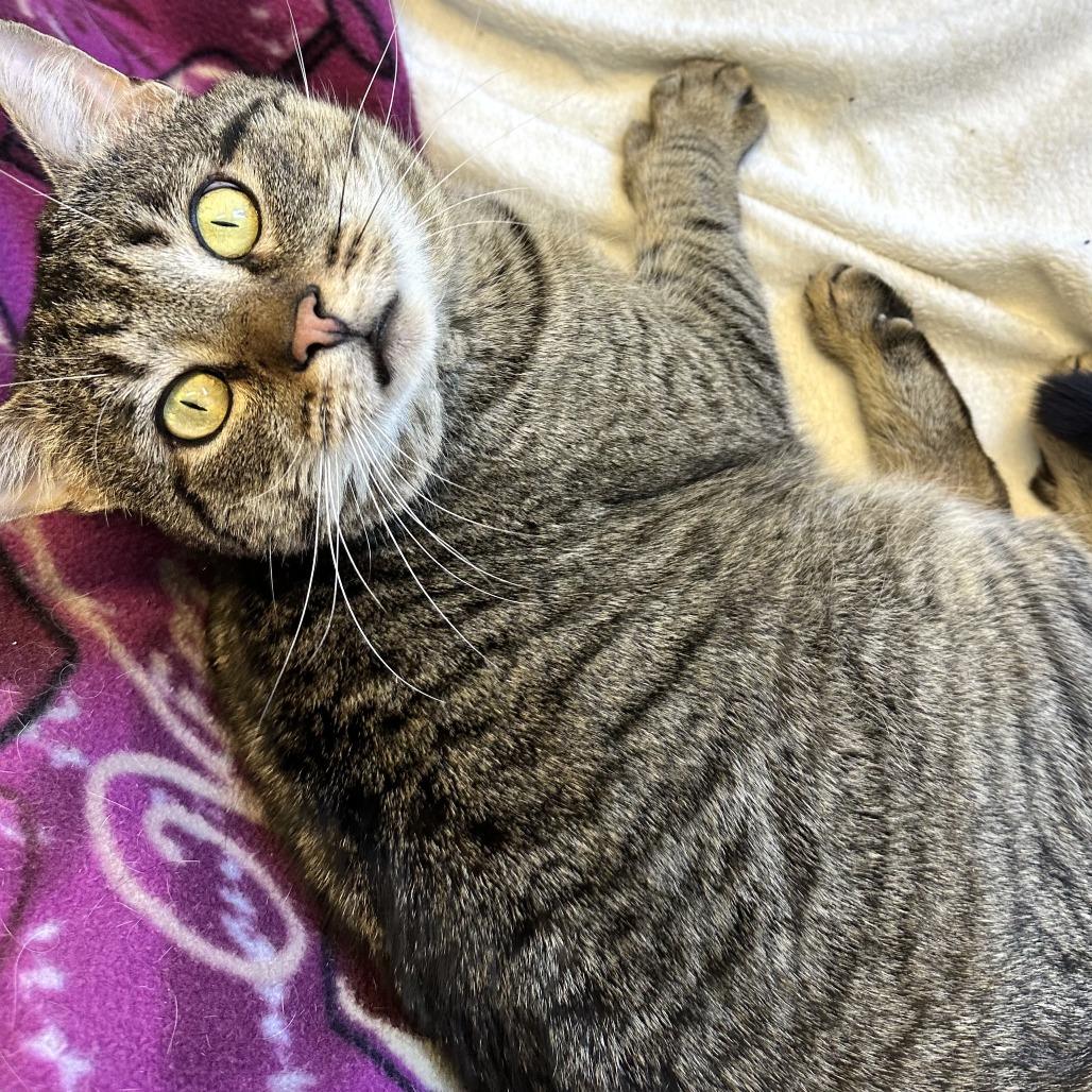 Billy — thumbnail 5