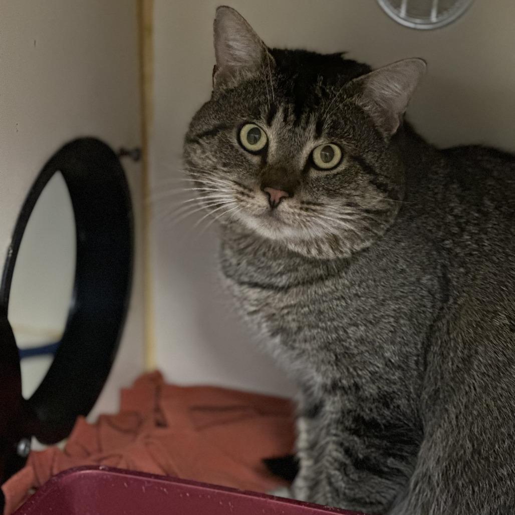 Billy — thumbnail 6