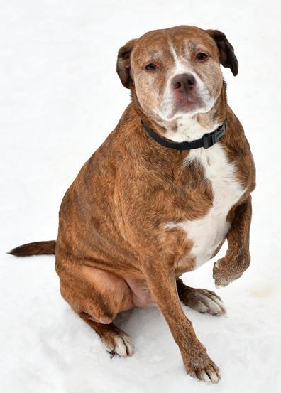 Reese — thumbnail 2