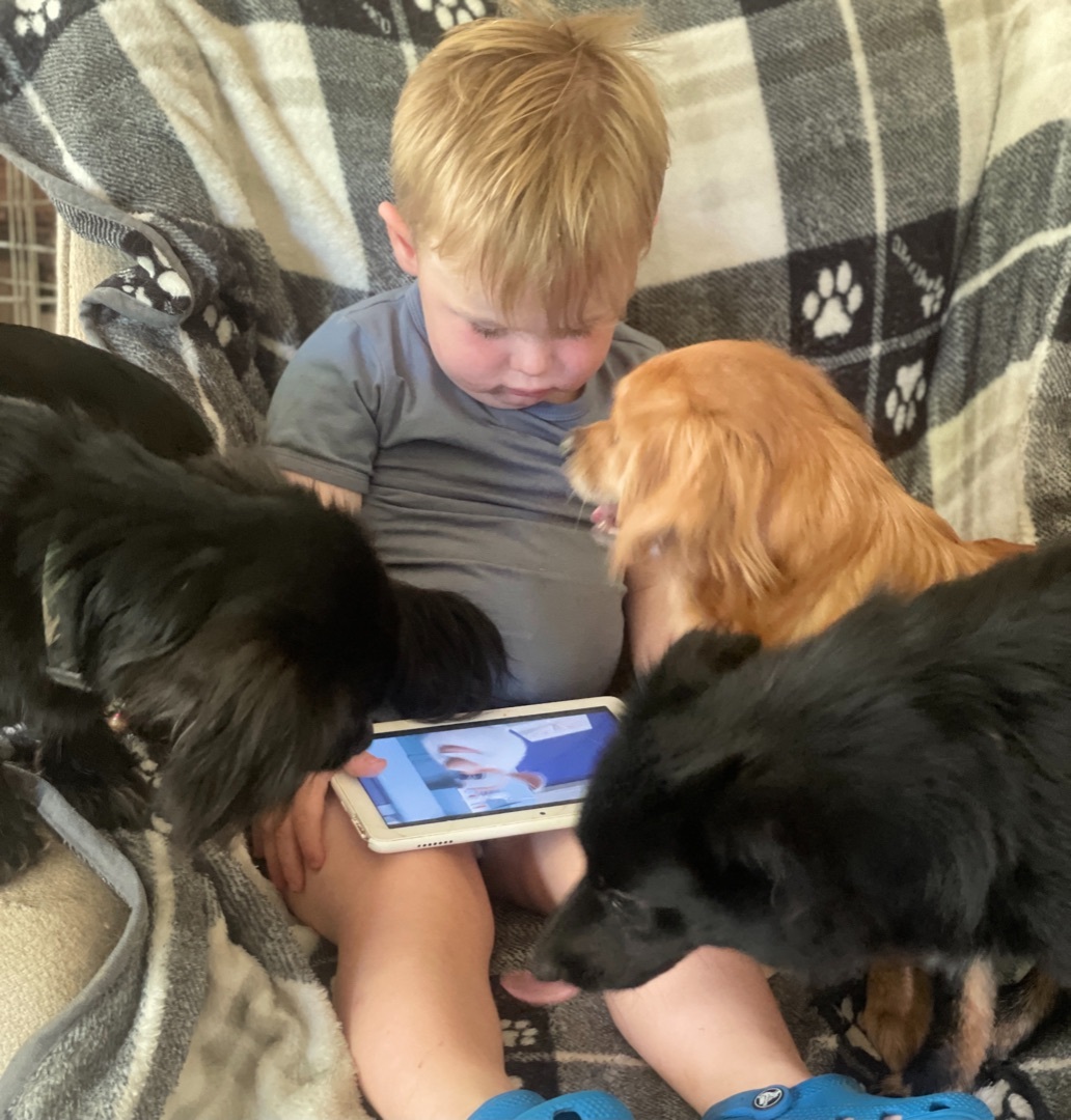 Enlarge Emma and Fluffs, a Adopted mixed breed in Asheville , NC image 2/6