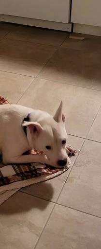 Baby Girl photo 4