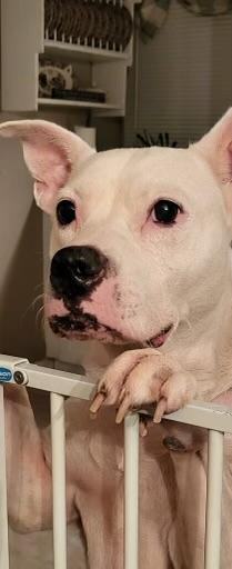 Baby Girl photo 1