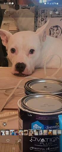 Baby Girl photo 2