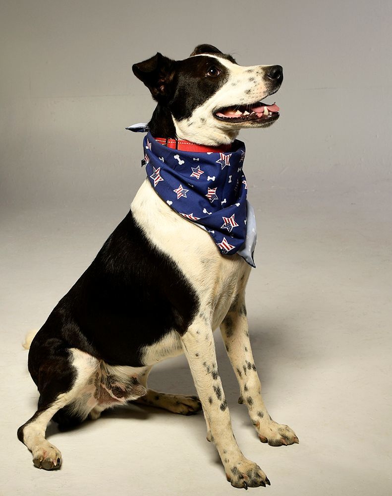 Abner photo 3