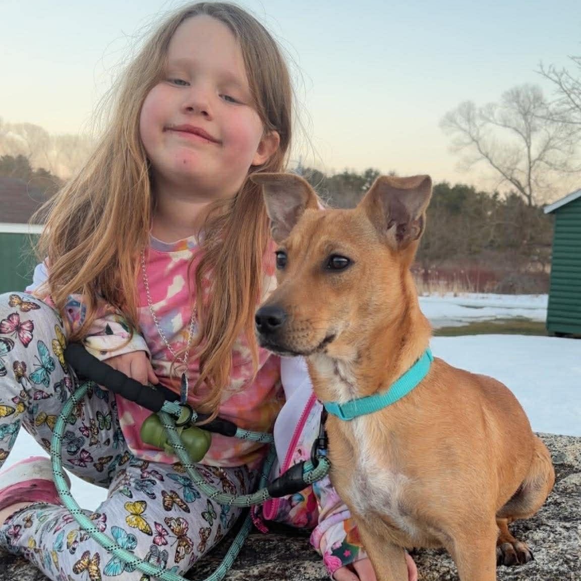 Enlarge Zuzu, a ADOPTABLE Mixed Breed in Woolwich, ME image 6/6