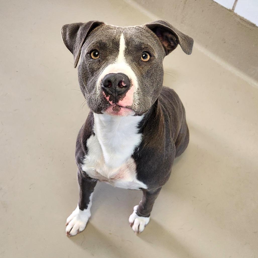 Moonbeam — thumbnail 2