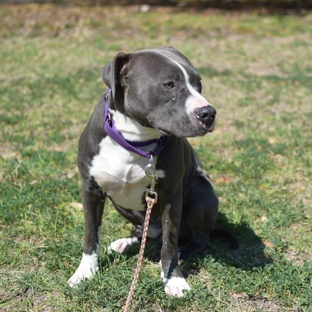 Moonbeam — thumbnail 3