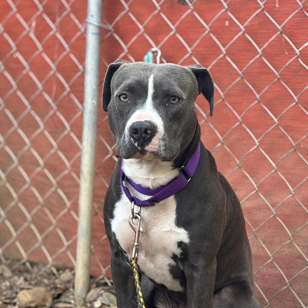 Moonbeam — thumbnail 4