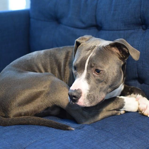 Moonbeam — thumbnail 6