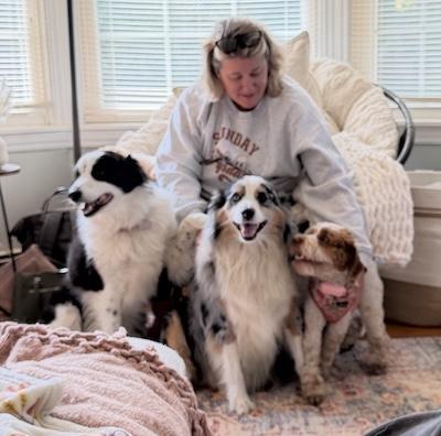 Enlarge Betty, an adopted Border Collie in Palmyra, VA image 4/5