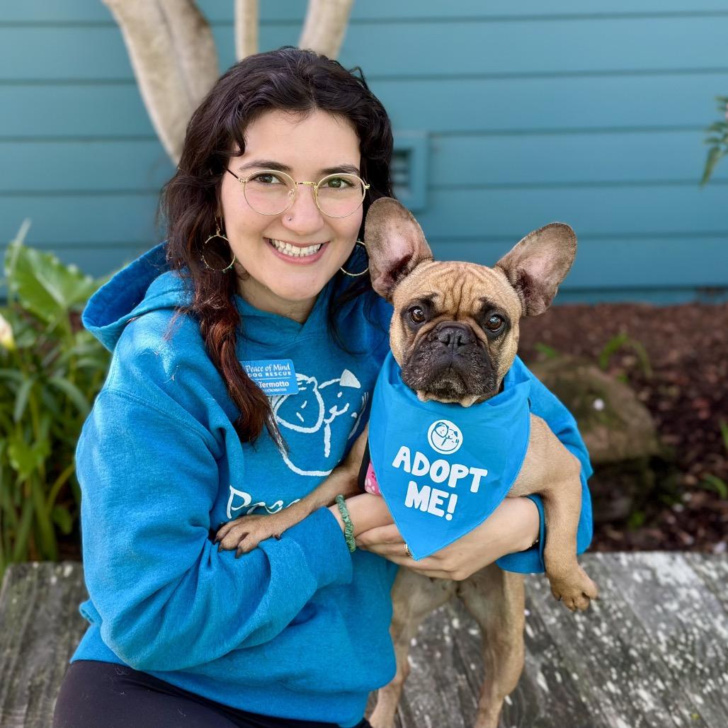 Shortbread — thumbnail 5