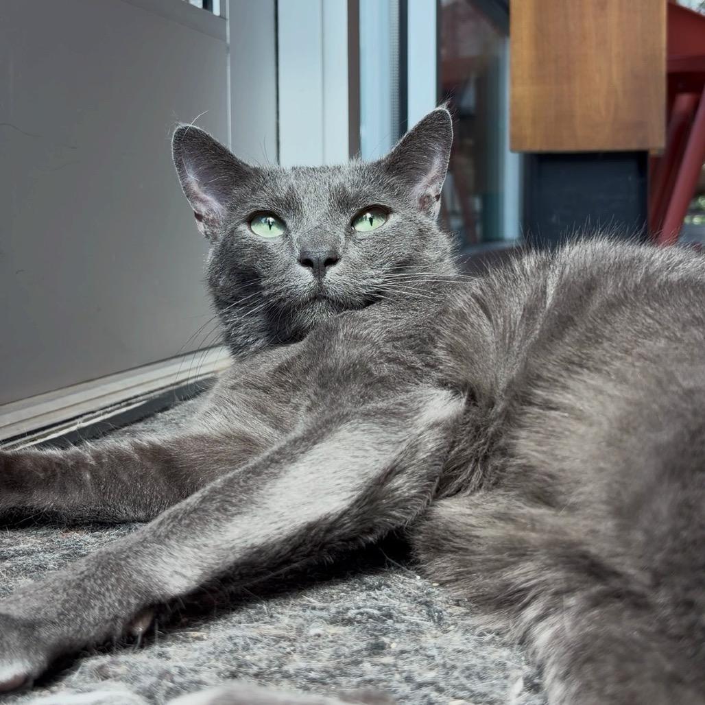 Vlad — thumbnail 2