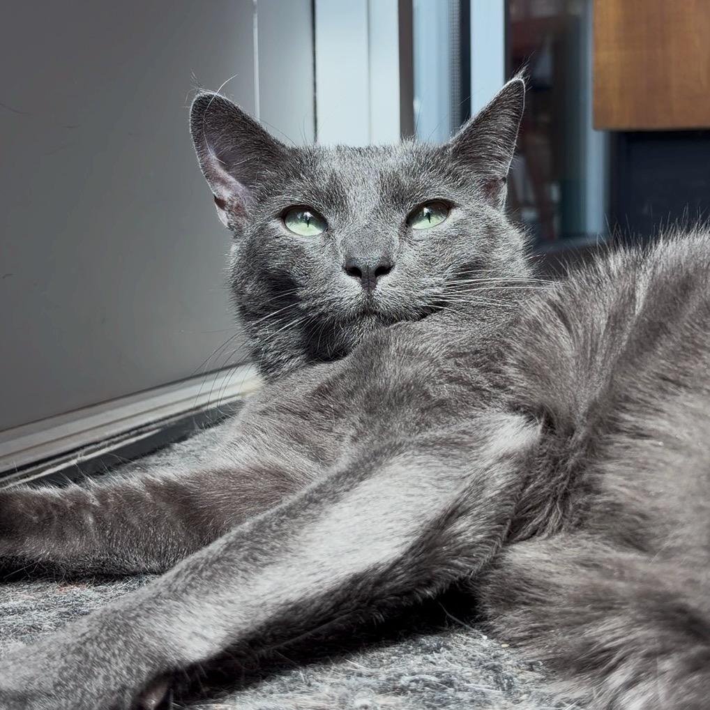 Vlad — thumbnail 4