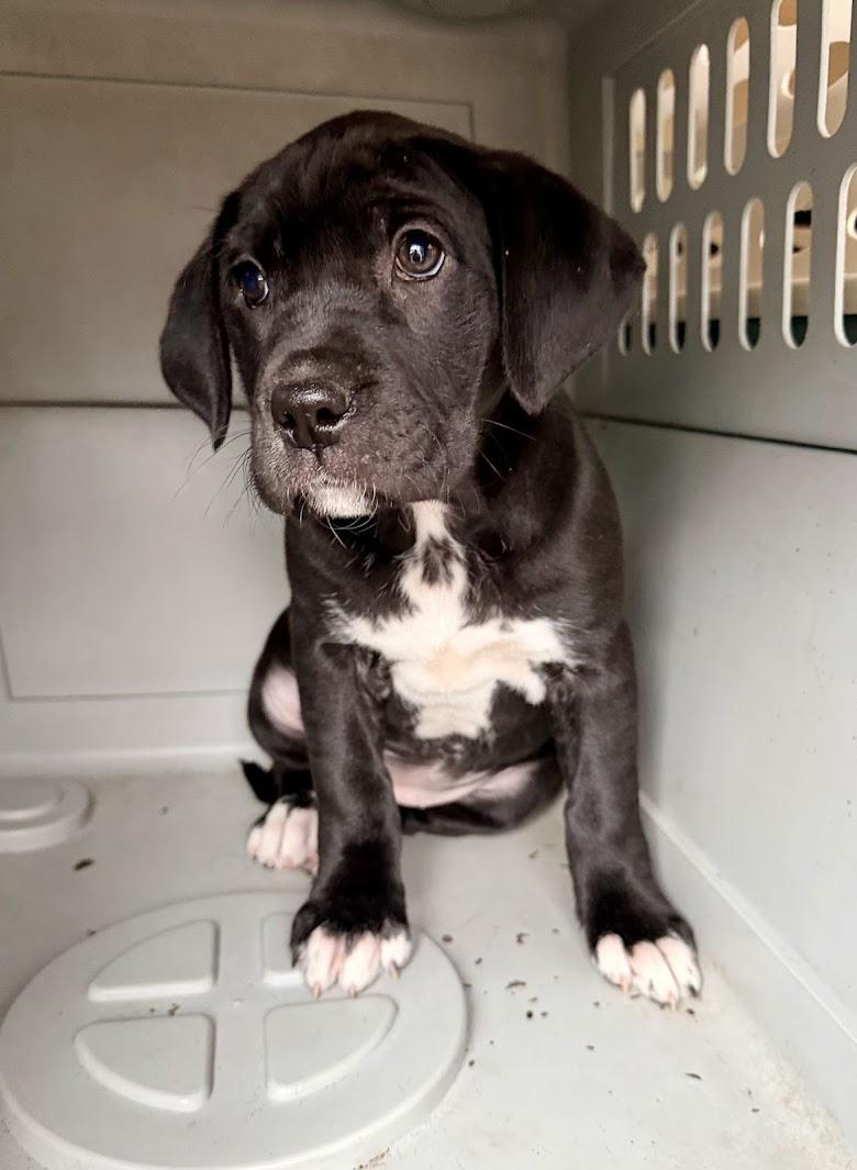 JELLY — thumbnail 2