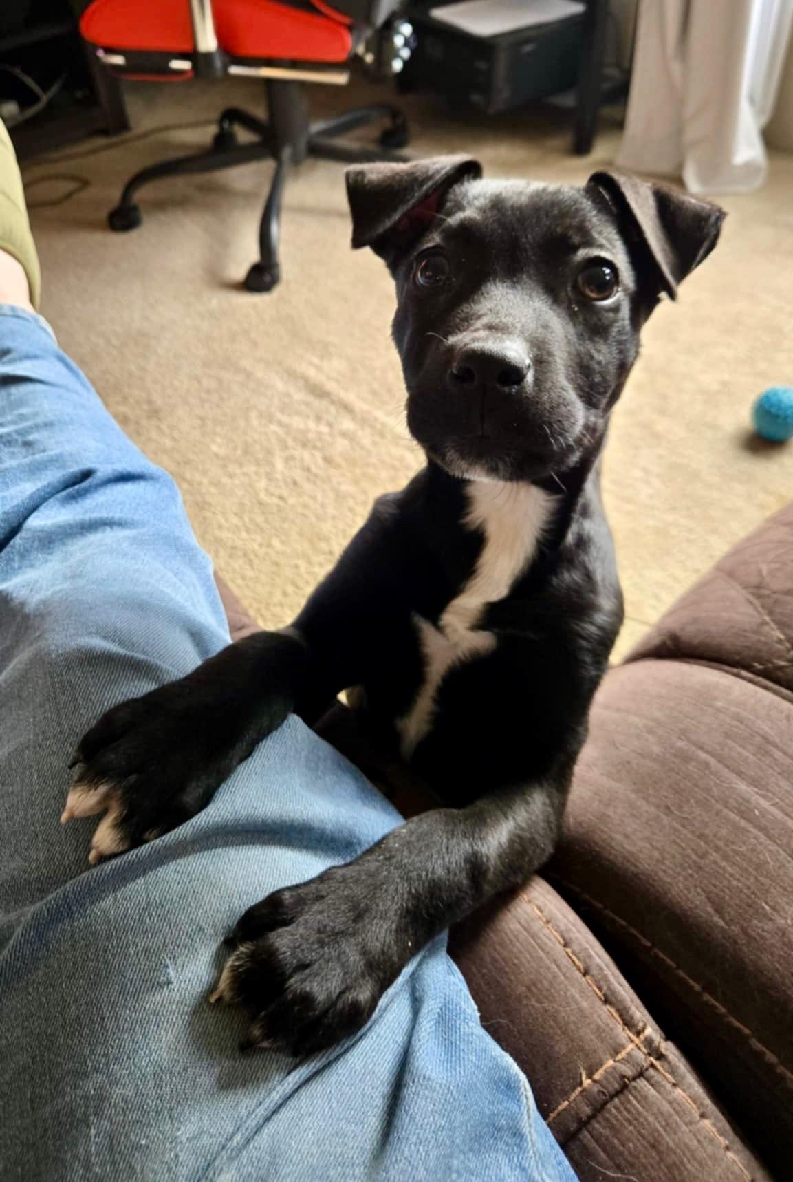 Happy Ny! thumbnail 2