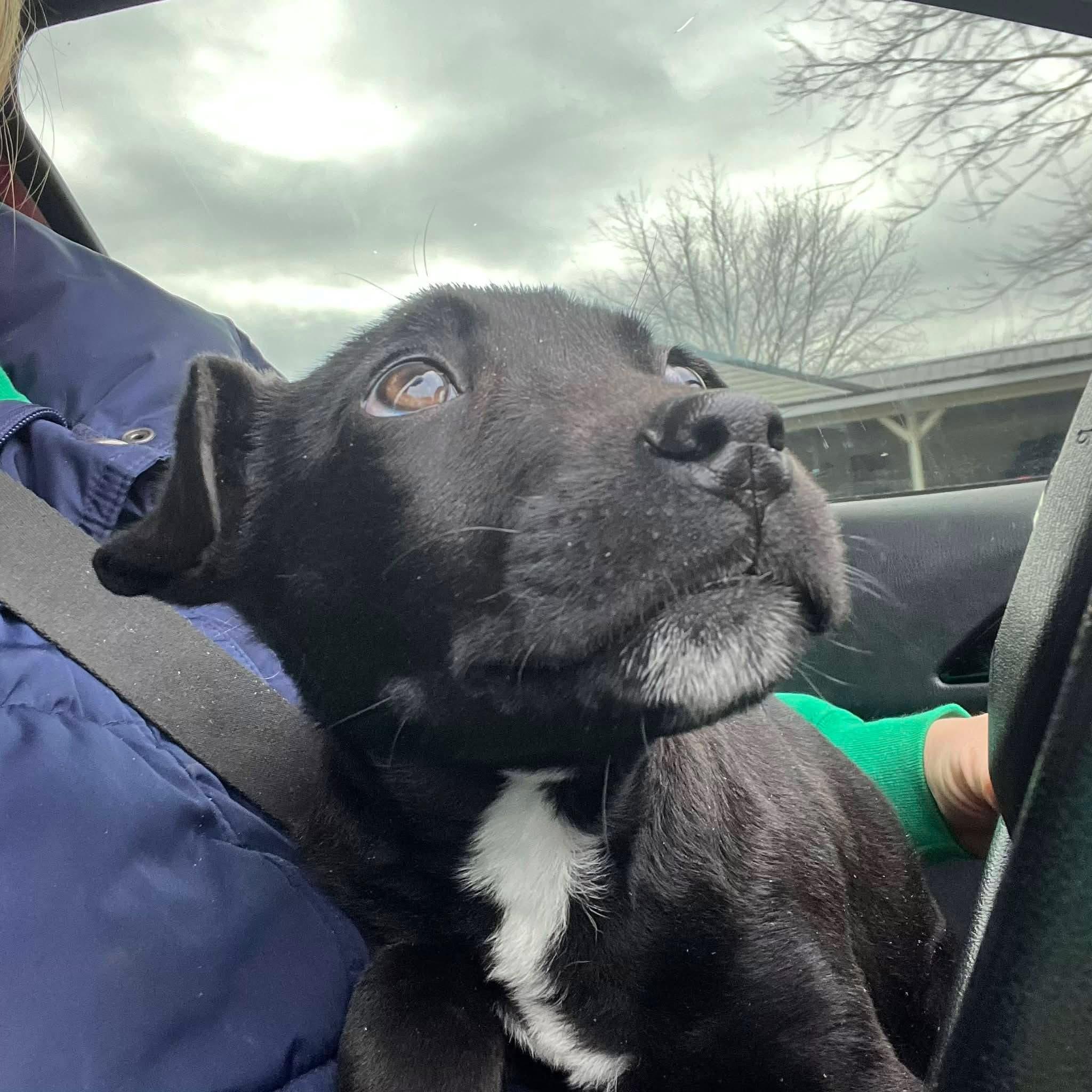 Happy Ny! thumbnail 3