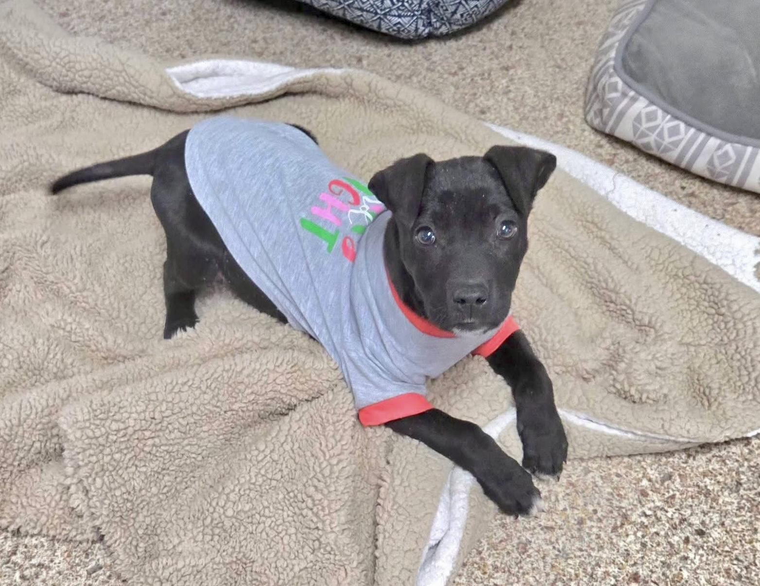 Happy Ny! thumbnail 4