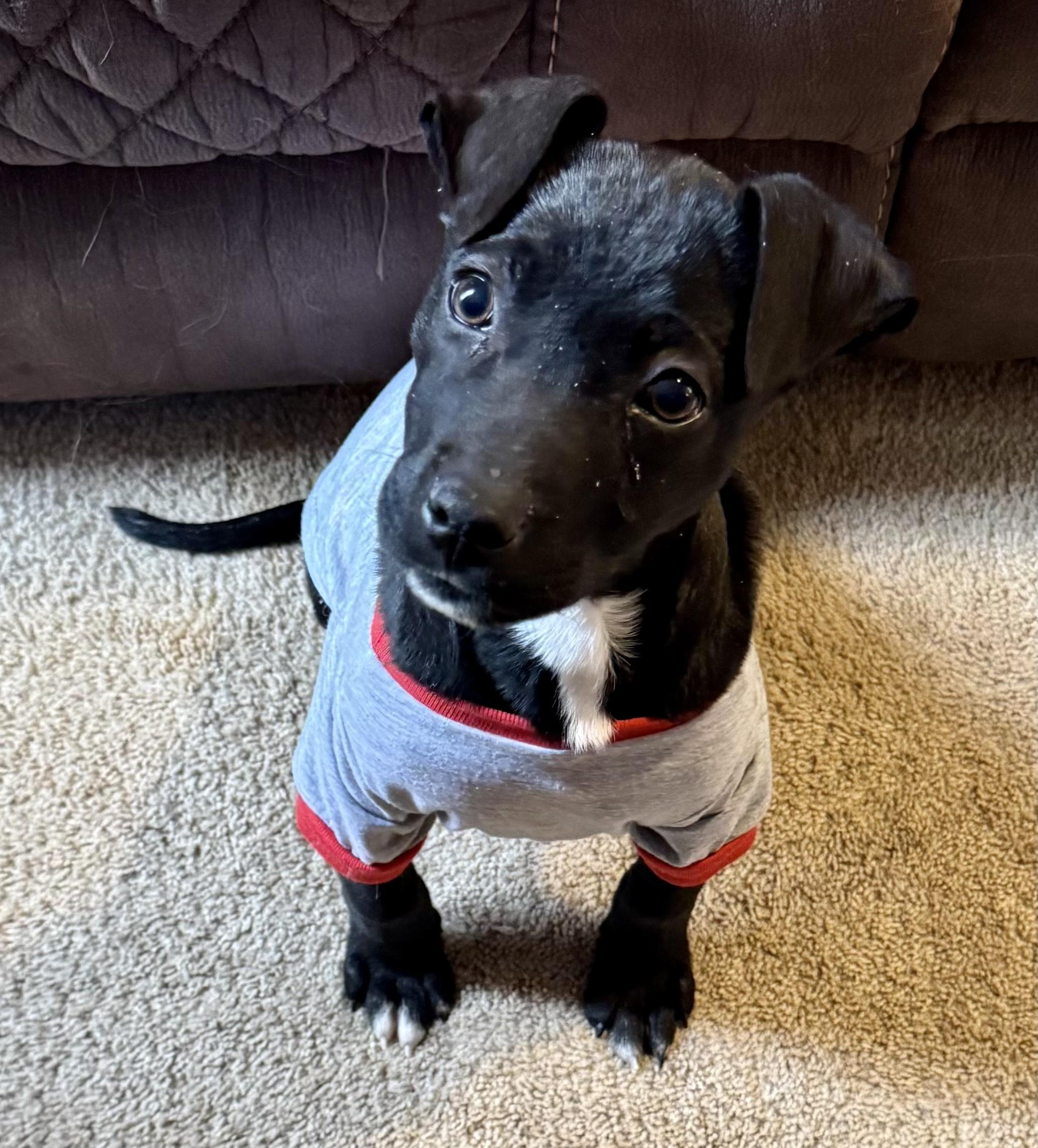 Happy Ny! thumbnail 6