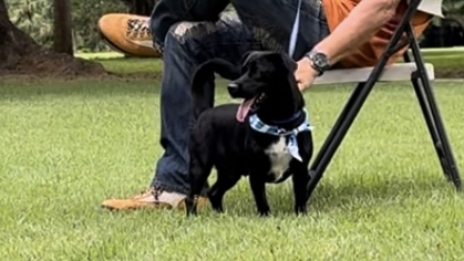 OREO