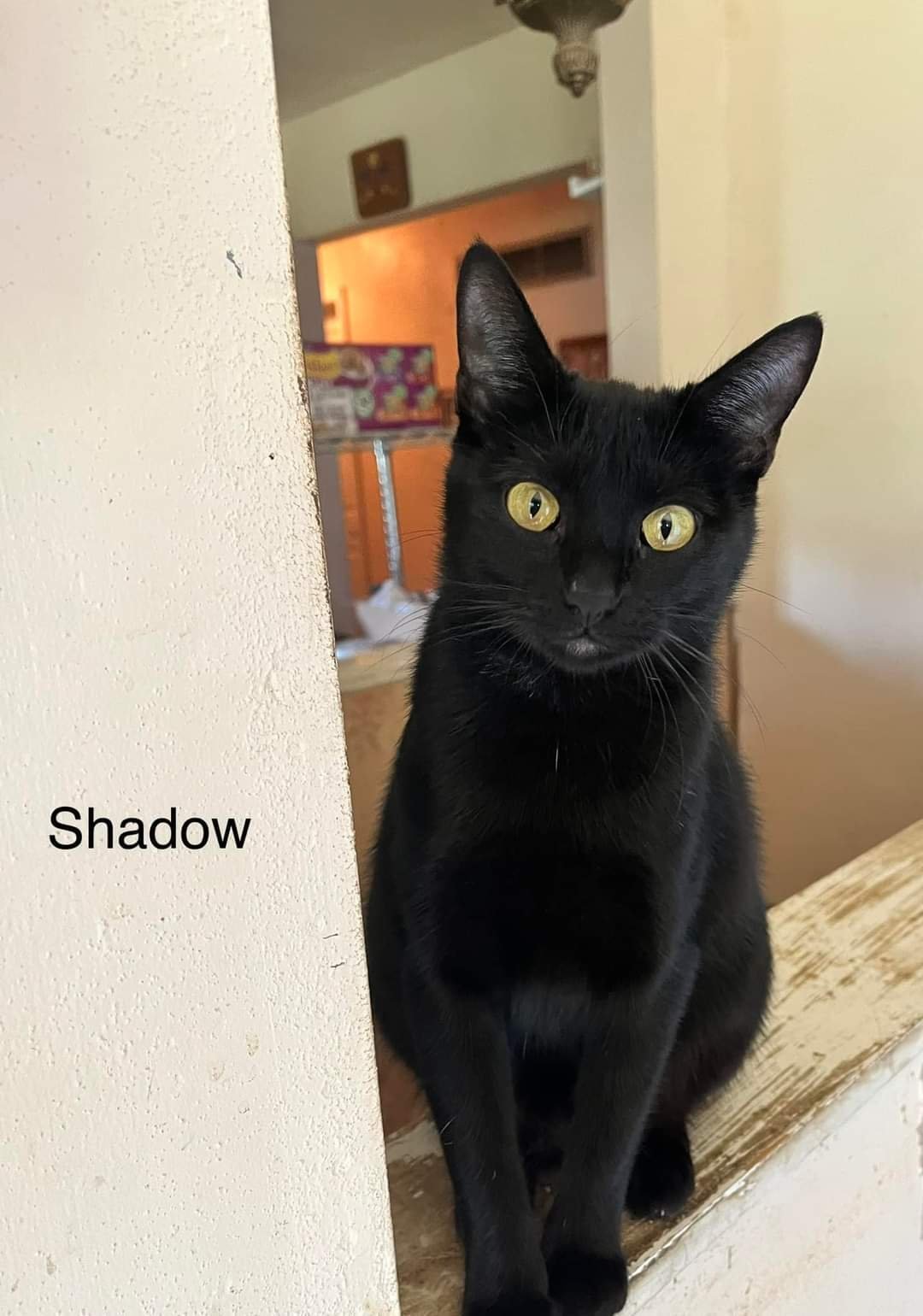 Shadow photo 4