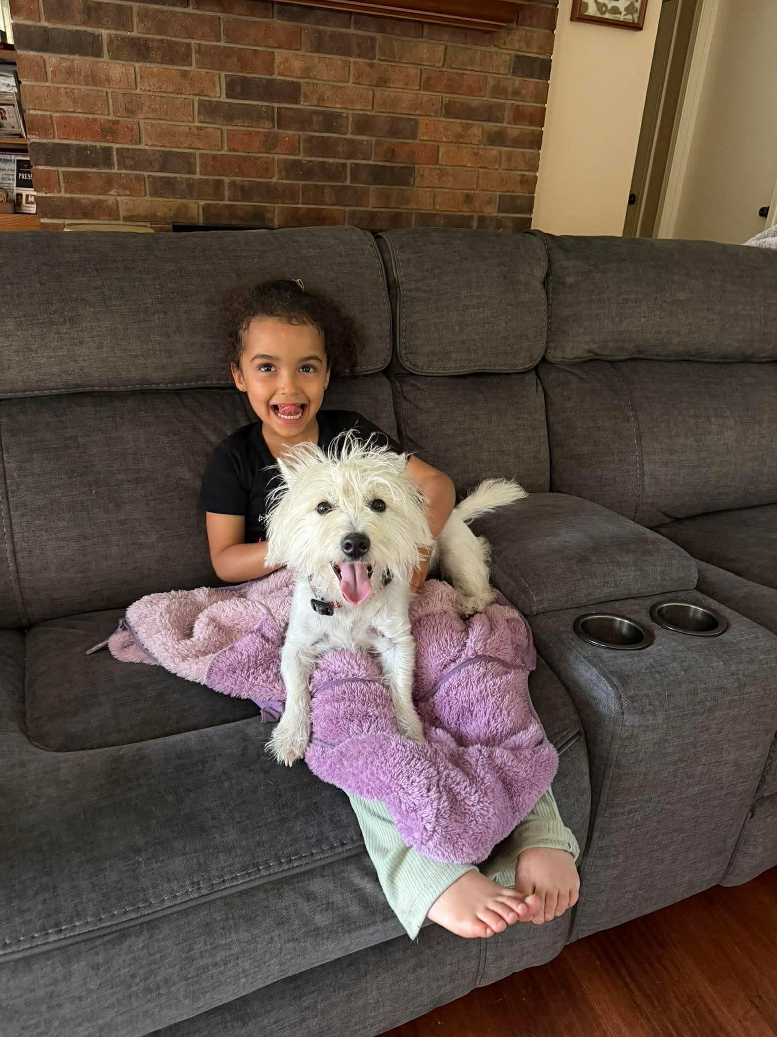 Enlarge Mya, an adopted West Highland White Terrier / Westie in Forney, TX image 3/3