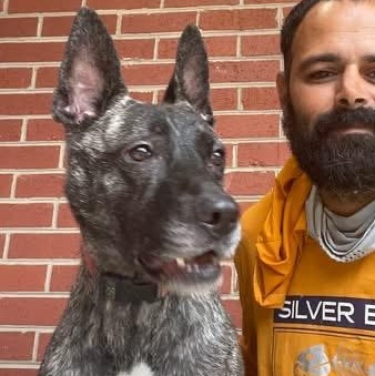 Enlarge Zeke, a ADOPTABLE mixed breed in Lumberton, NC image 5/6