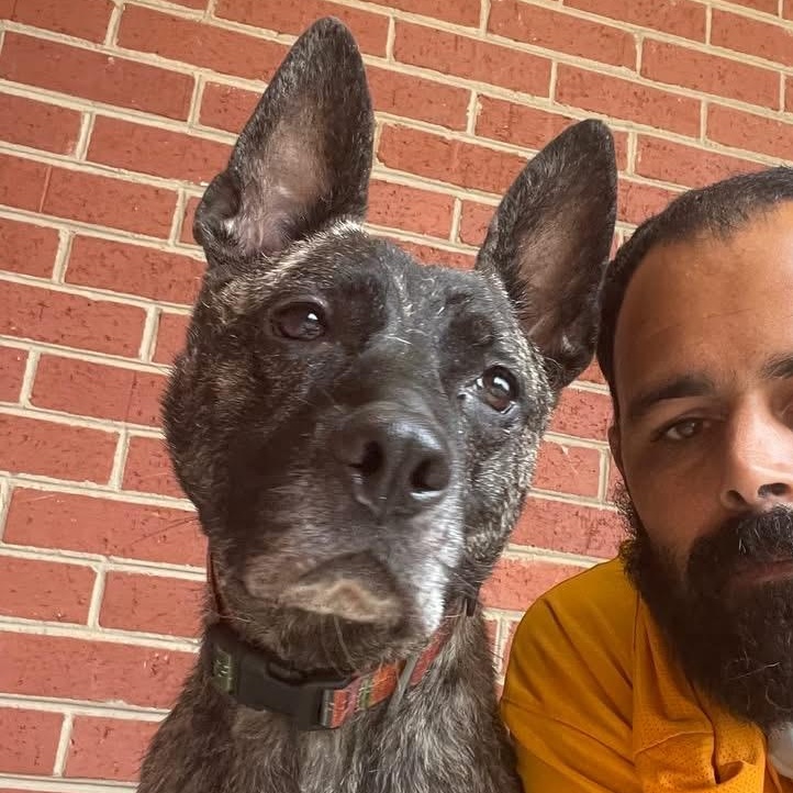 Enlarge Zeke, a ADOPTABLE mixed breed in Lumberton, NC image 1/6