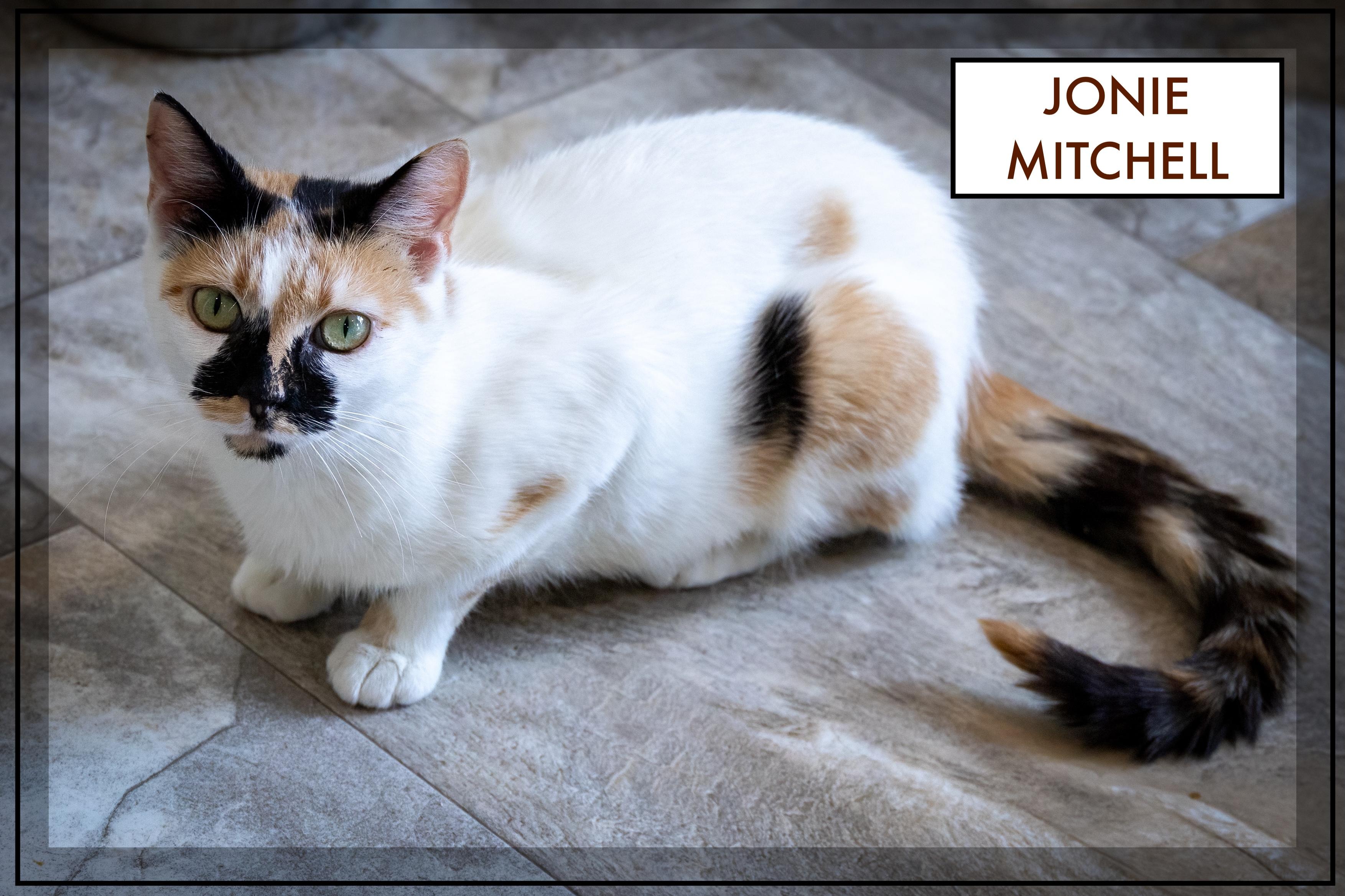 Jonie Mitchell