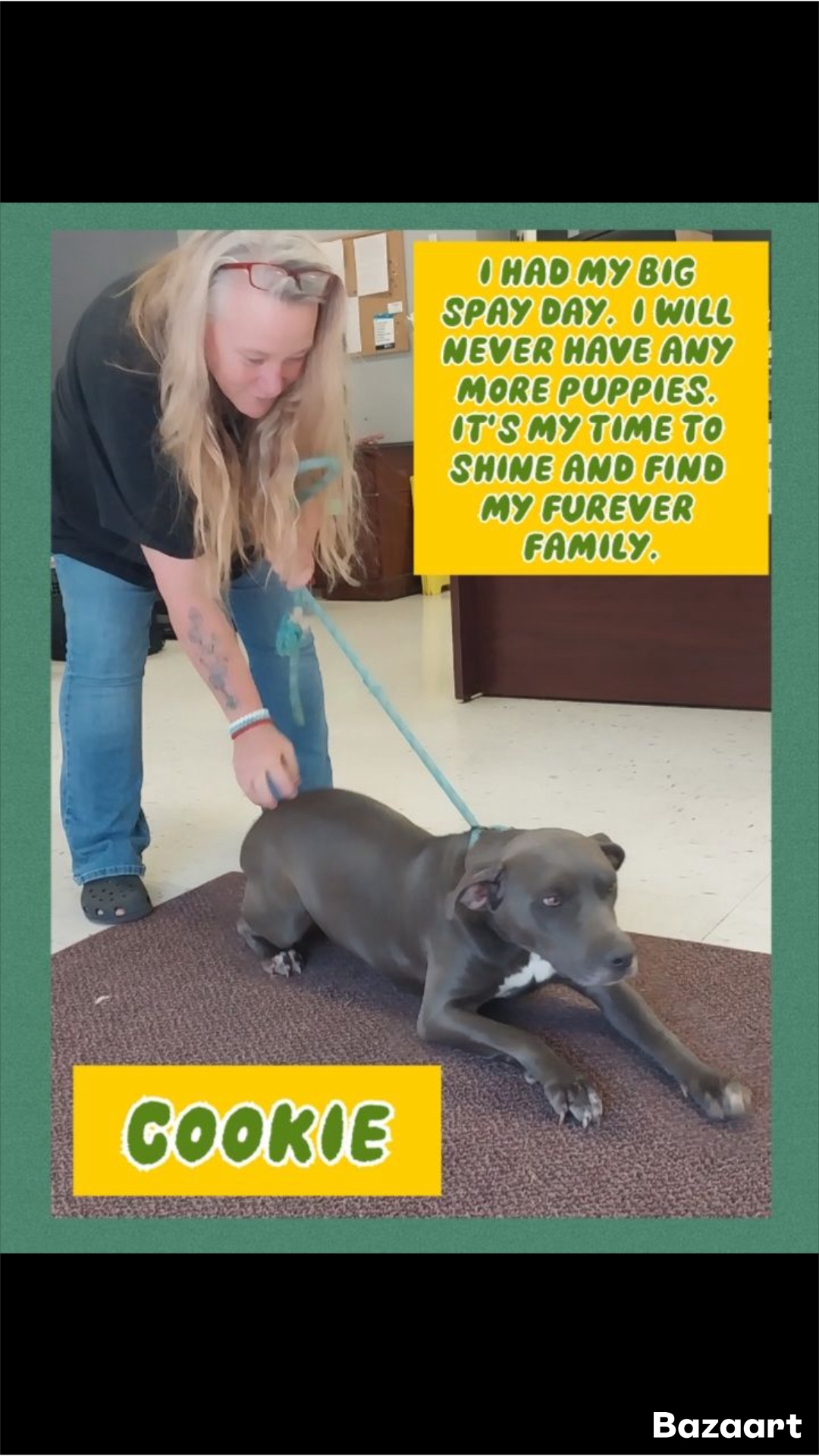 Cookie, a Adoptable mixed breed in Locust Grove, VA image 2/3
