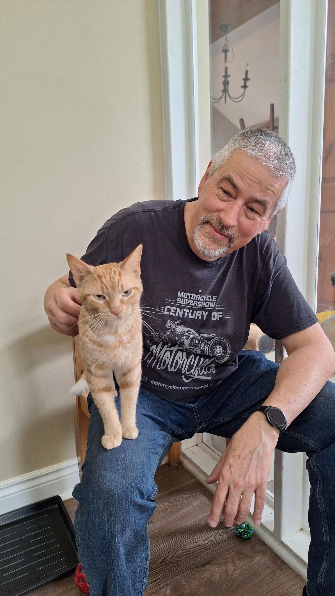 Rusty, Adopted, Young Male Domestic Short Hair.