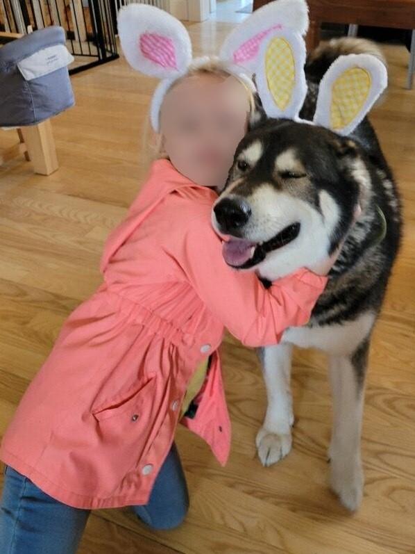 Enlarge FLOWER-See New Video!  Seeks Mal-Experienced Home to Heal Broken Heart-Loves Kids!, a Adopted mixed breed in Indianapolis, IN image 2/6