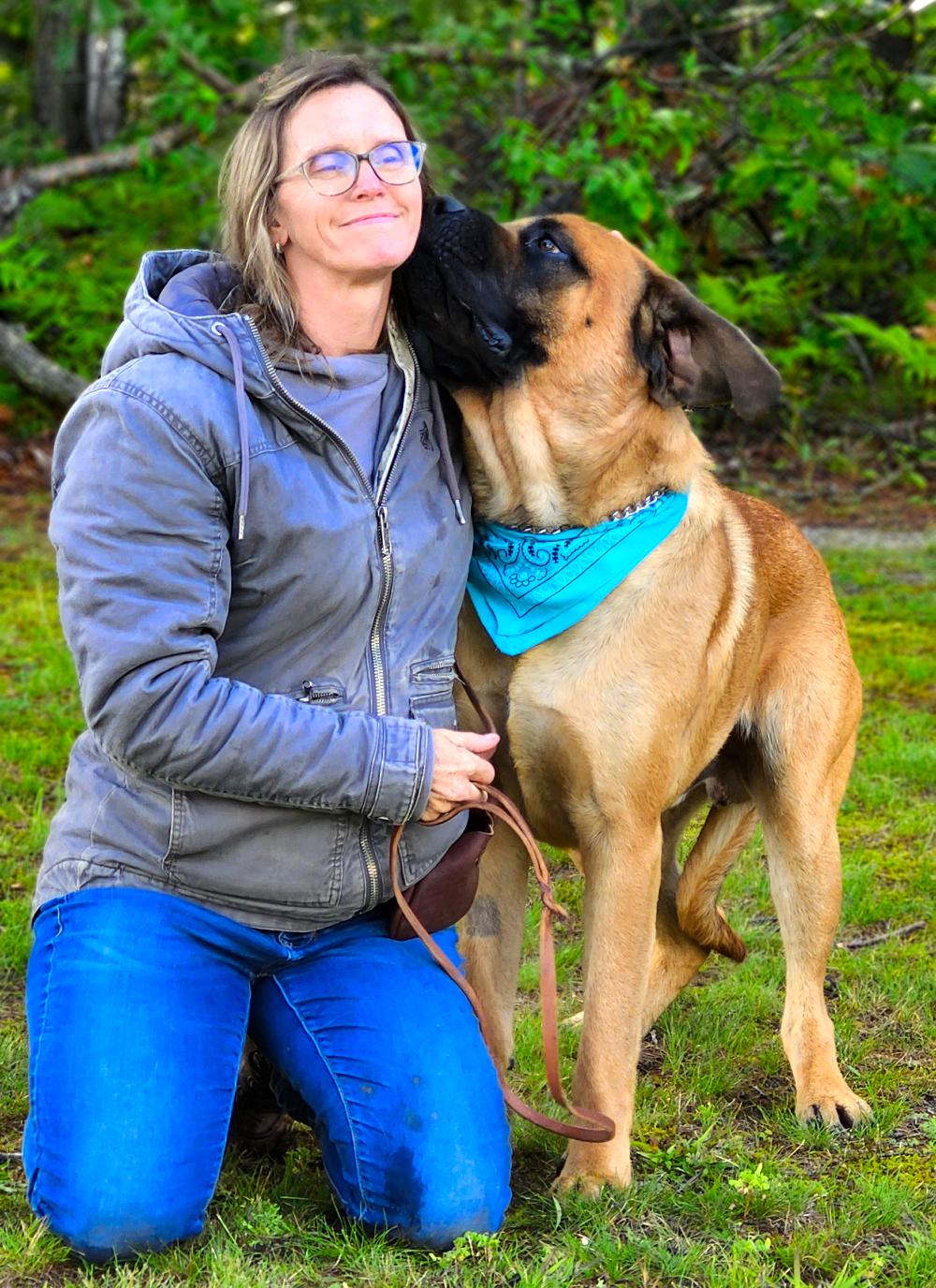 Groot, a Adoptable Bullmastiff in Cheboygan, MI image 4/6